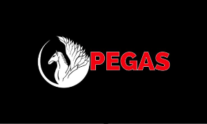 PEGASPRODUCTIONS PREMIUM | 30 DAYS WARRANTY