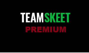 TEAMSKEET PREMIUM│30 DAYS WARRANTY