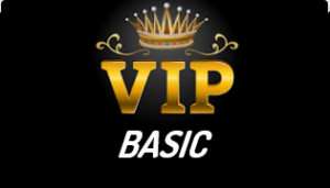 BASIC VIP MEMBERSHIP