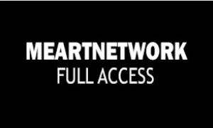 METARTNETWORK ACCOUNT +30 DAYS WARRANTY (3 IN ONE)